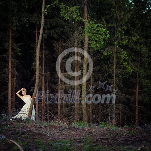 Lovely bride outdoors in a forest Lovely bride outdoors in a forest