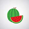 watermelon vector cartoon on gray background 