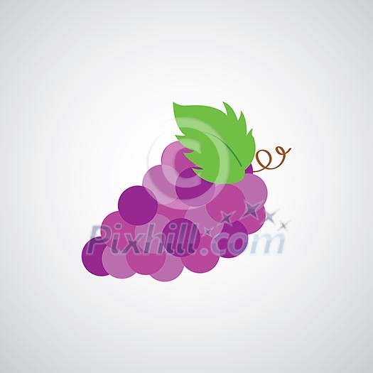 wine grape vector cartoon on white background