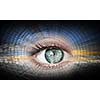 Digital image of woman's eye. Security concept