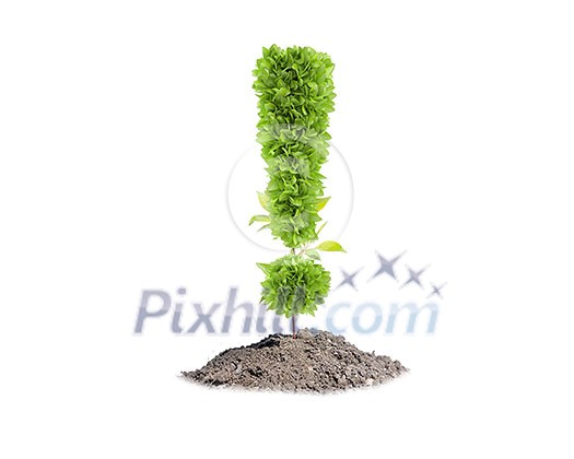 Green plant in shape of exclamation sign. Greenery concept