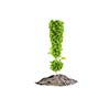 Green plant in shape of exclamation sign. Greenery concept