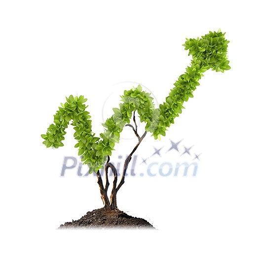 Plant in shape of graph against white background Plant in shape of graph against white background