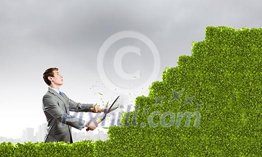 Young businessman cutting bush in shape of ladder Young businessman cutting bush in shape of ladder