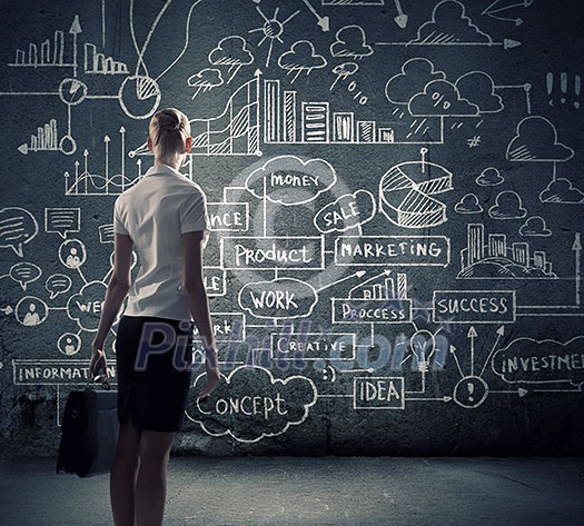 Rear view of businesswoman looking at business sketches on wall Rear view of businesswoman looking at business sketches on wall