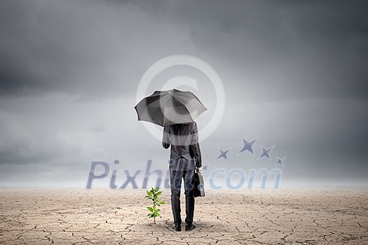 Rear view of businessman with umbrella protecting sprout Rear view of businessman with umbrella protecting sprout