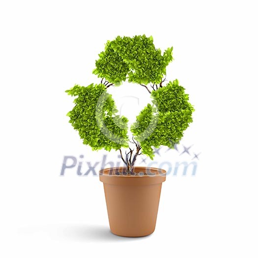 Image of plant in pot shaped like recycle symbol Image of plant in pot shaped like recycle symbol