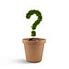 Image of plant pot with green question mark