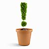 Image of pot plant shaped like exclamation sign