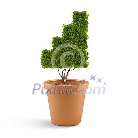 Plant in pot shaped like graph. Wealth concept