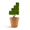 Plant in pot shaped like graph. Wealth concept