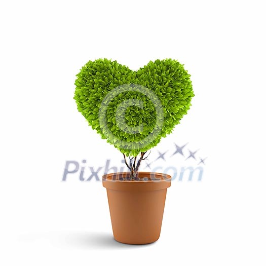Image of plant in pot shaped like heart