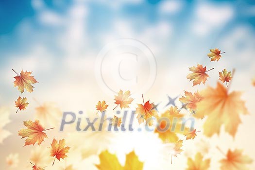 Conceptual image with colorful leaves flying in air Conceptual image with colorful leaves flying in air