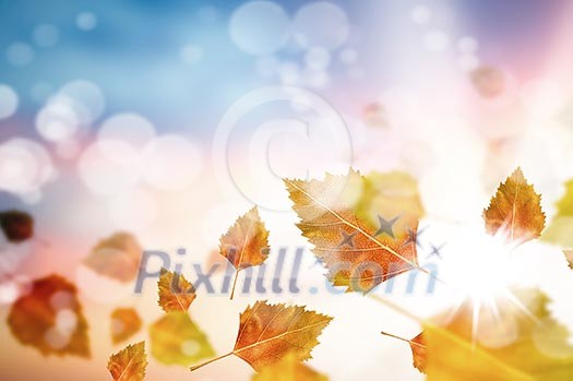 Conceptual image with colorful leaves flying in air Conceptual image with colorful leaves flying in air