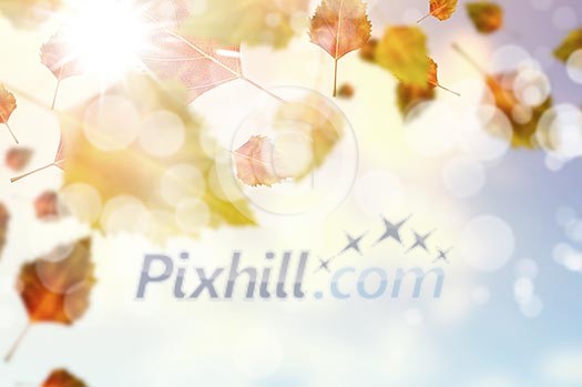 Conceptual image with colorful leaves flying in air