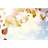 Conceptual image with colorful leaves flying in air