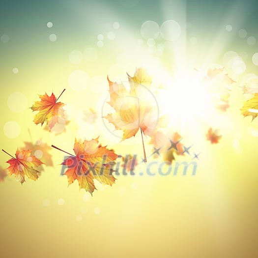 Conceptual image with colorful leaves flying in air