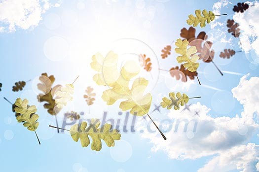 Conceptual image with colorful leaves flying in air Conceptual image with colorful leaves flying in air