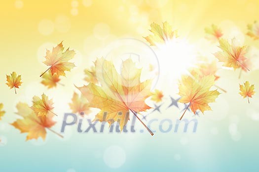 Conceptual image with colorful leaves flying in air Conceptual image with colorful leaves flying in air