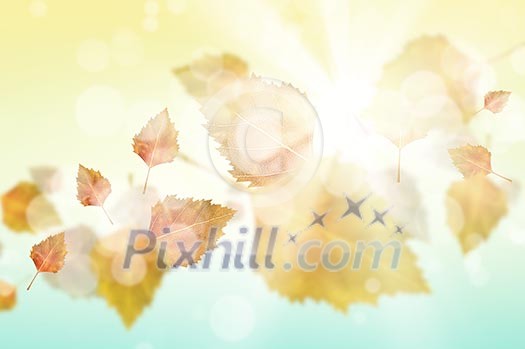 Conceptual image with colorful leaves flying in air Conceptual image with colorful leaves flying in air