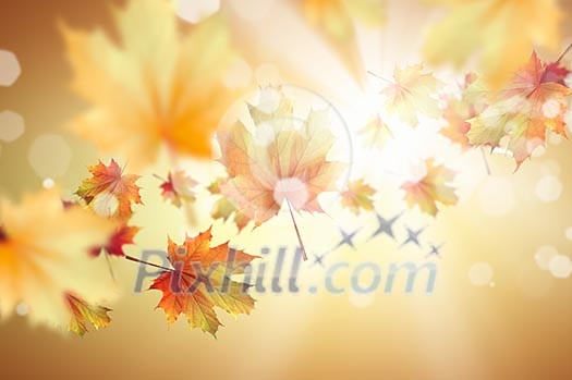 Conceptual image with colorful leaves flying in air Conceptual image with colorful leaves flying in air
