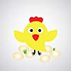 Cartoon hen with eggs on gray background 