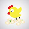 Cartoon hen with eggs on gray background  