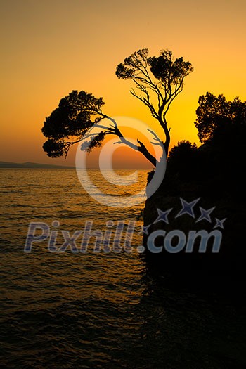 Brela Rock silhouette - Splendid seacoast of Croatia (Makarska riviera, Brela)