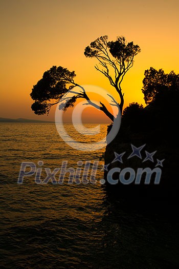 Brela Rock silhouette - Splendid seacoast of Croatia (Makarska riviera, Brela) Brela Rock silhouette - Splendid seacoast of Croatia (Makarska riviera, Brela)