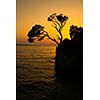Brela Rock silhouette - Splendid seacoast of Croatia (Makarska riviera, Brela)