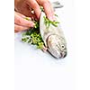 Female chef's hands stuffing a freshly cought trout with fresh herbs