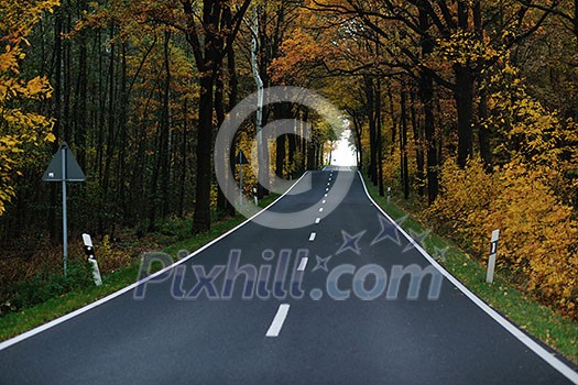 country road at autumn season with bright orange colors at morning sunrise