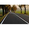 country road at autumn season with bright orange colors at morning sunrise