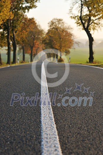 country road at autumn season with bright orange colors at morning sunrise country road at autumn season with bright orange colors at morning sunrise