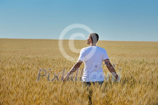 young man in wheat field representing success agriculture and freedom concept young man in wheat field representing success agriculture and freedom concept
