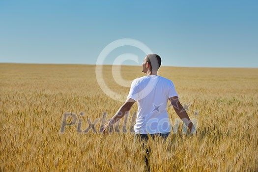 young man in wheat field representing success agriculture and freedom concept