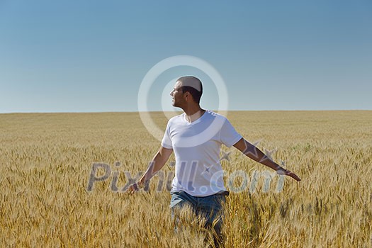 young man in wheat field representing success agriculture and freedom concept