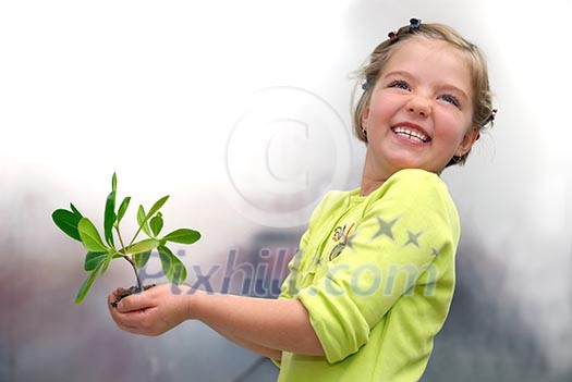 growth concept with small plant in hand