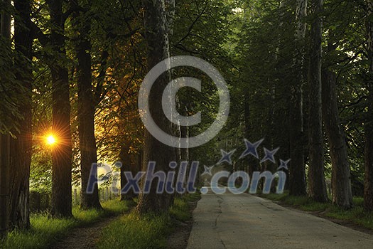 beautiful fresh morning with sun rays and dramatic light beautiful fresh morning with sun rays and dramatic light