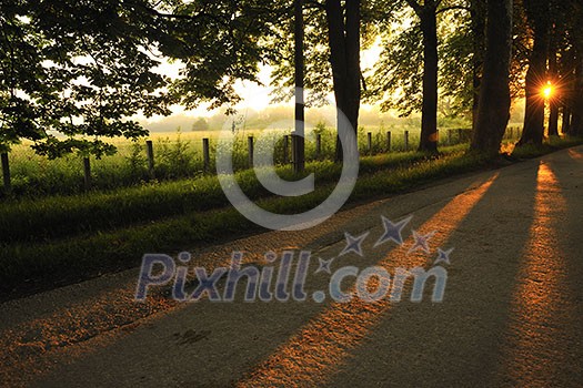 beautiful fresh morning with sun rays and dramatic light beautiful fresh morning with sun rays and dramatic light
