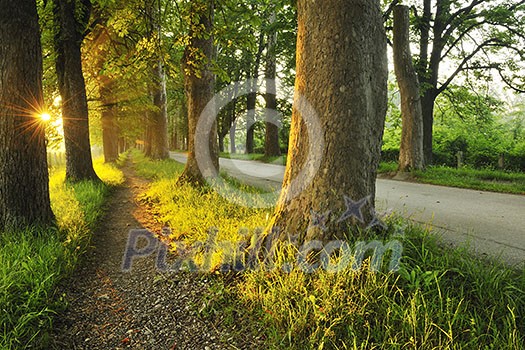 beautiful fresh morning with sun rays and dramatic light beautiful fresh morning with sun rays and dramatic light