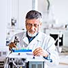 senior male researcher carrying out scientific research in a lab using a gas chromatograph (shallow DOF; color toned image)