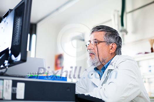 Senior researcher using a computer in the lab while working on an experiment (color toned image) Senior researcher using a computer in the lab while working on an experiment (color toned image)
