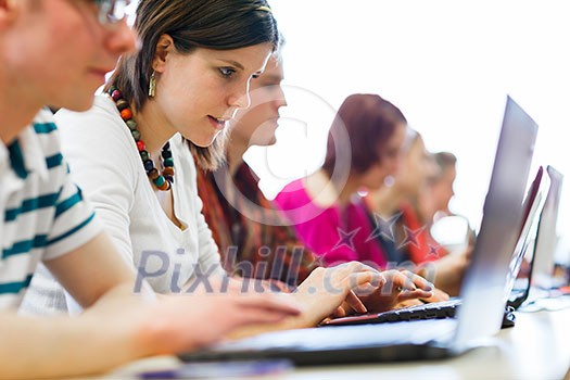 College students sitting in a classroom, using laptop computers during class (shallow DOF) College students sitting in a classroom, using laptop computers during class (shallow DOF)