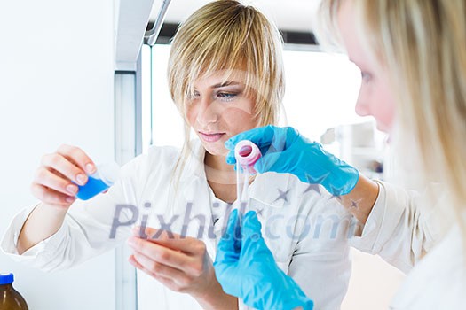 Two female researchers working in a laboratory (color toned image) Two female researchers working in a laboratory (color toned image)