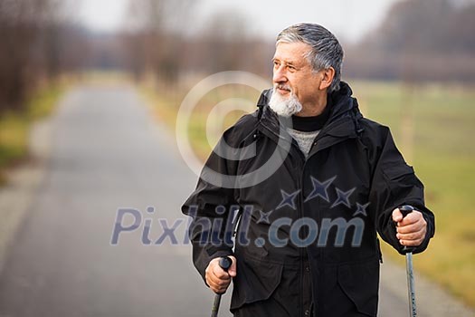 Senior man nordic walking, enjoying the outdoors