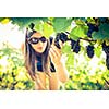 Grapes in a vineyard being checked by a female vintner (color toned image)