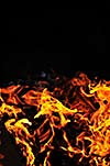 wild fire flames burn hot with black background