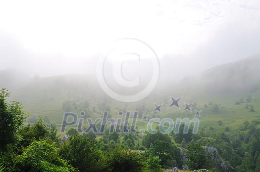 meadow landscape with fog and first morning light