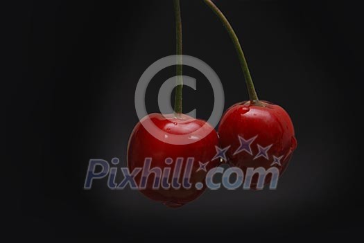 fresh cherry closeup in studio fresh cherry closeup in studio